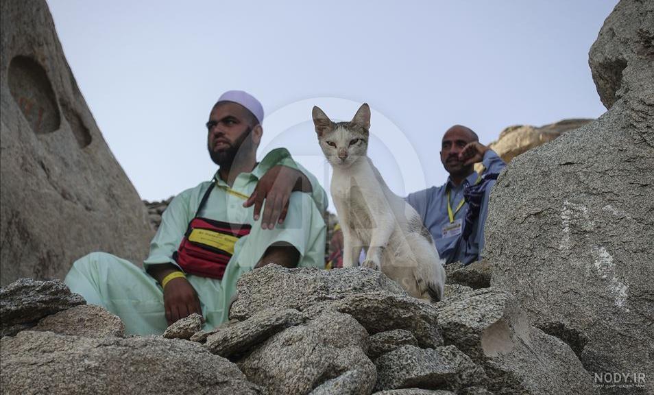 عکس غار ثور عکس غار ثور