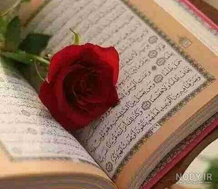عکس قران و گل رز عکس قران و گل رز