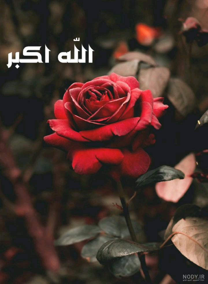 عکس نوشته متحرک خدایا شکرت