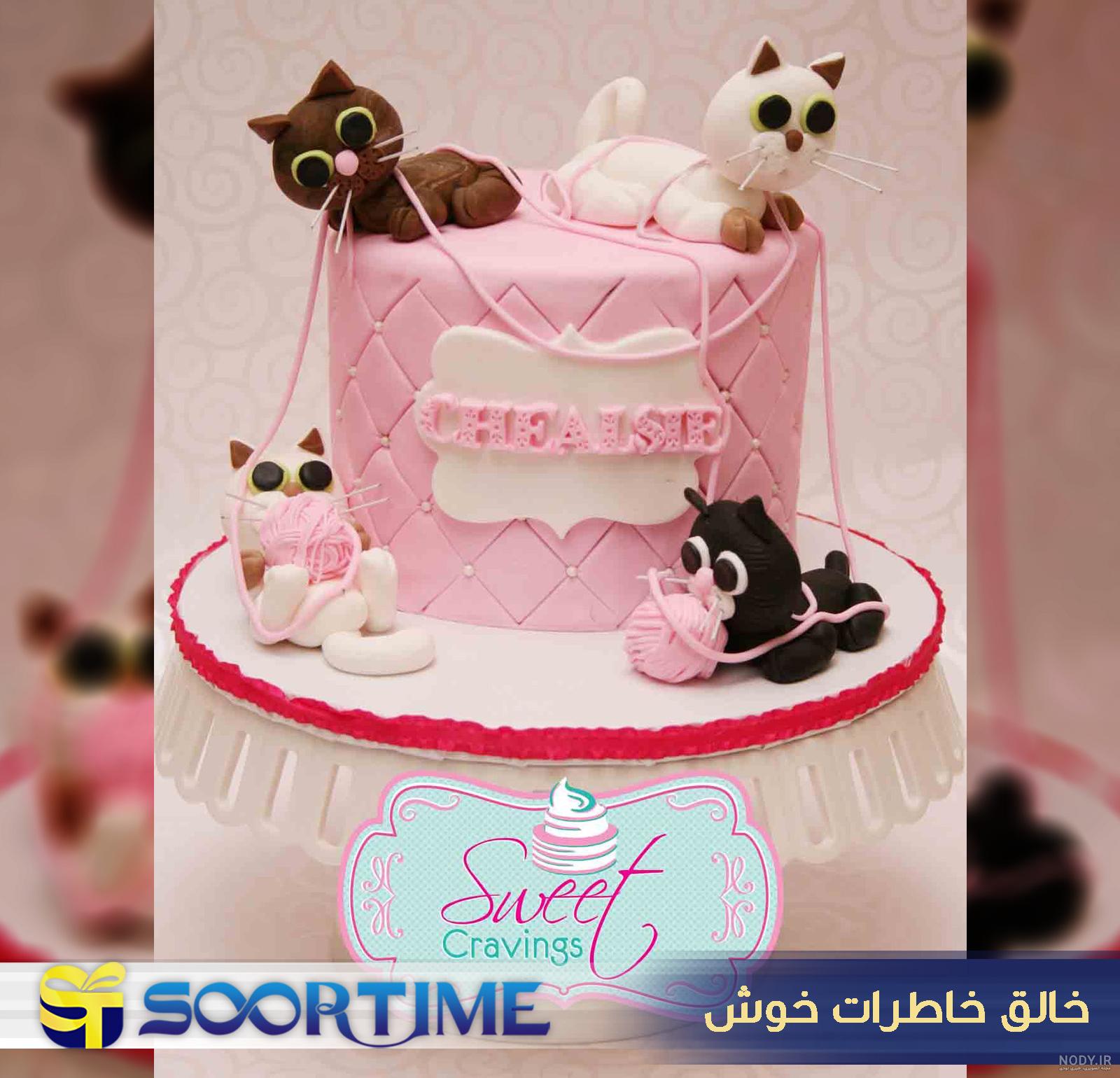 عکس گربه پرشین عکس گربه پرشین