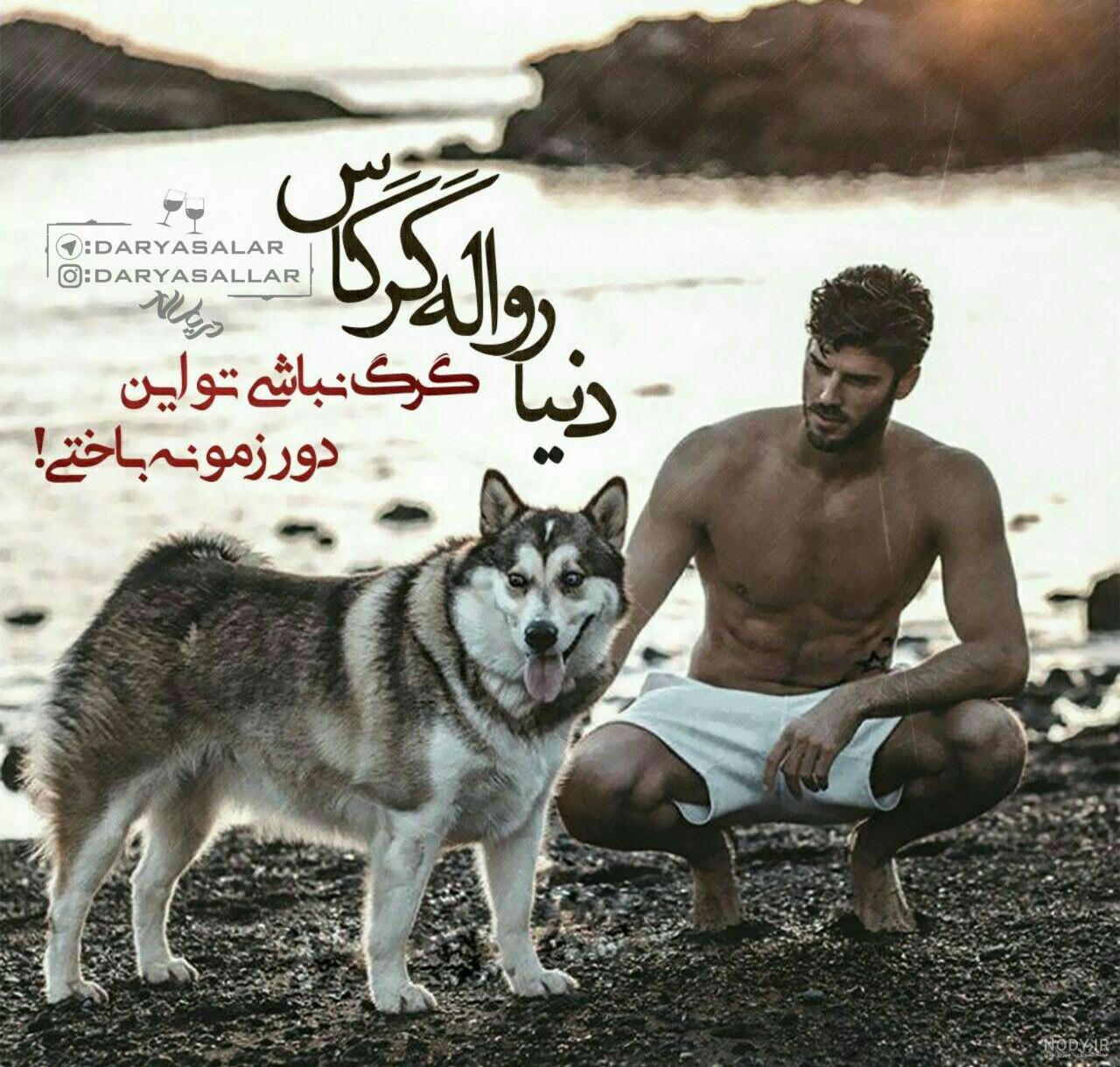 عکس گرگ با متن ترکی عکس گرگ با متن ترکی