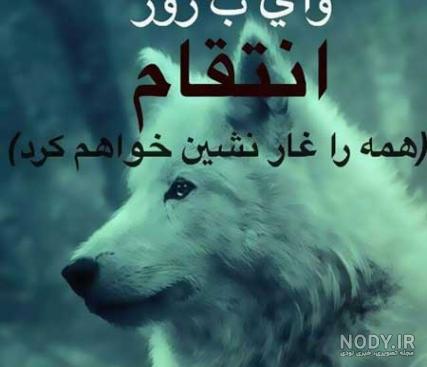 عکس گرگ با متن سنگین عکس گرگ با متن سنگین