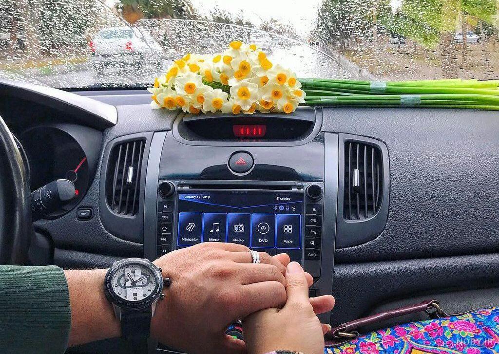 عکس گل رز آبی