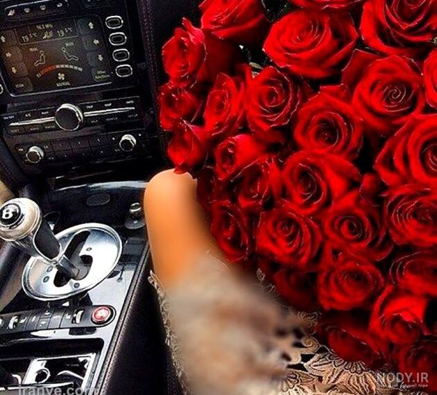 عکس گل رز قرمز و سفید