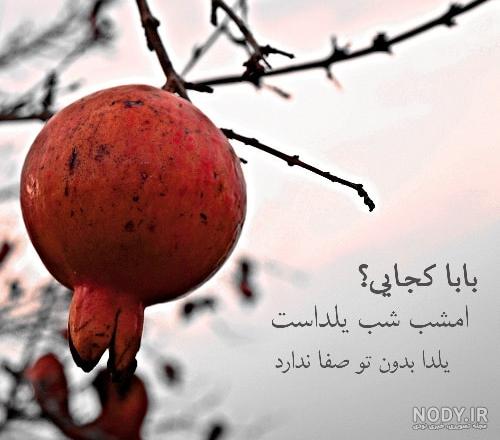 عکس یلدا افشارنیا