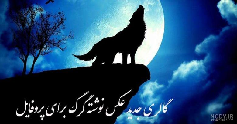 متن گرگ زخمی متن گرگ زخمی