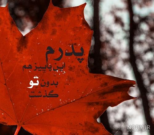 پروفایل یلدا تنها