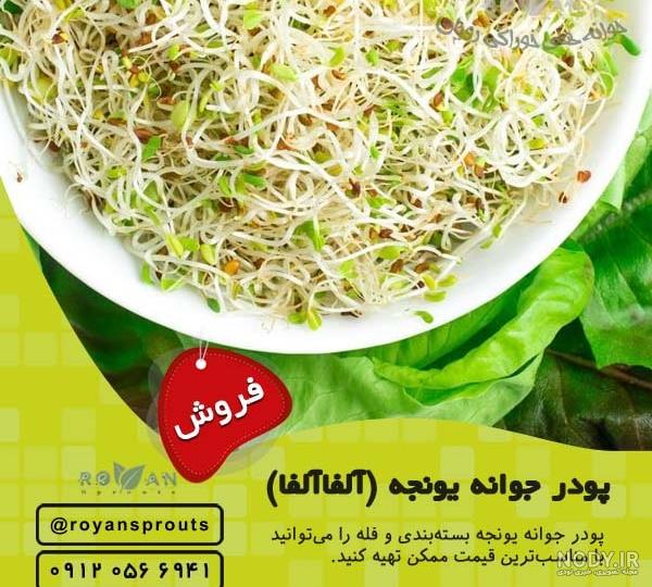 یونجه لاغر میکنه یونجه لاغر میکنه