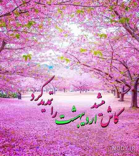 پروفایل تولد اردیبهشتی خودم