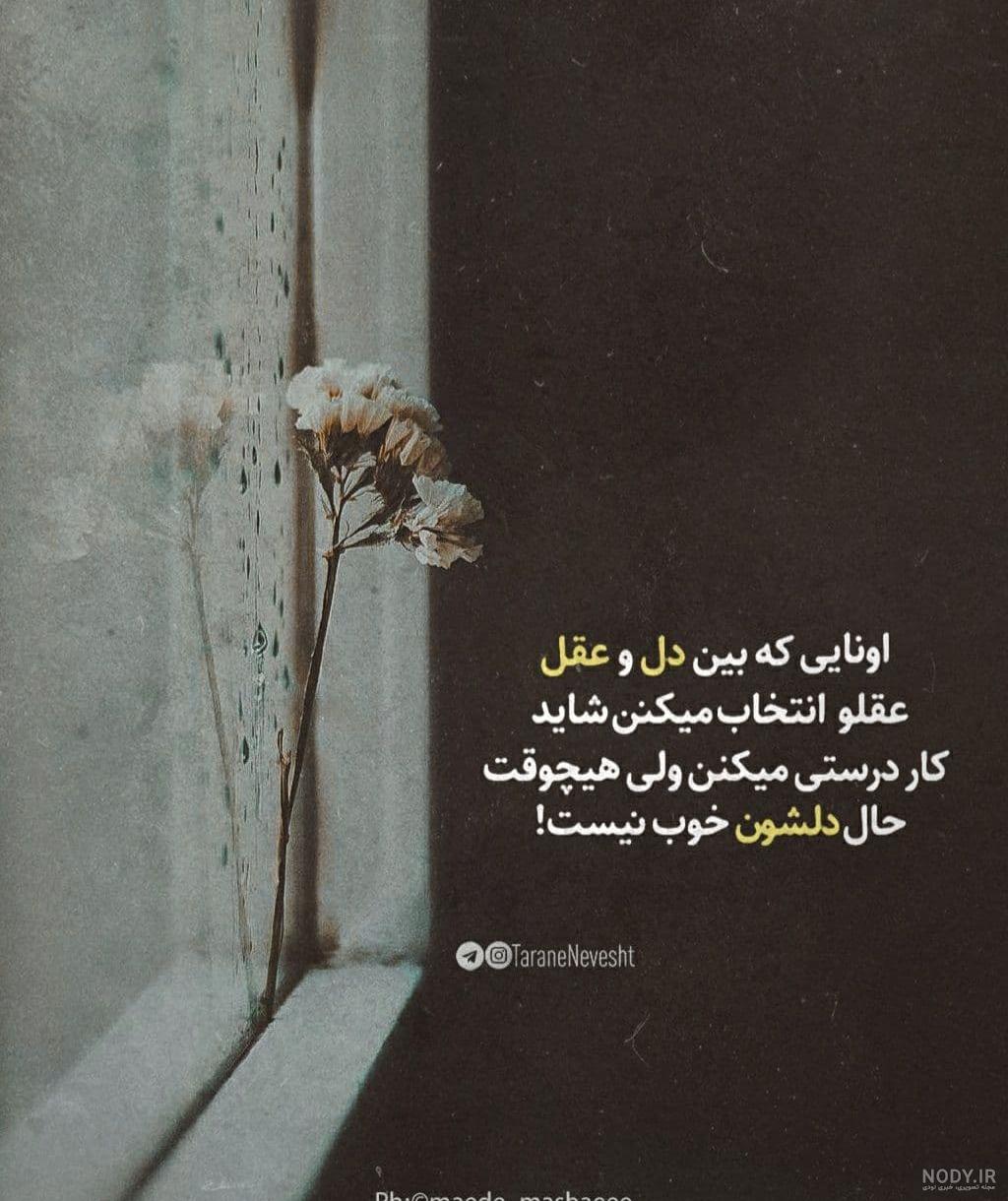 أدب أدب
