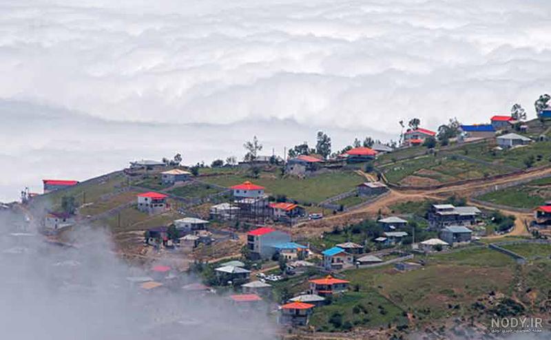اجاره کلبه جنگلی اجاره کلبه جنگلی