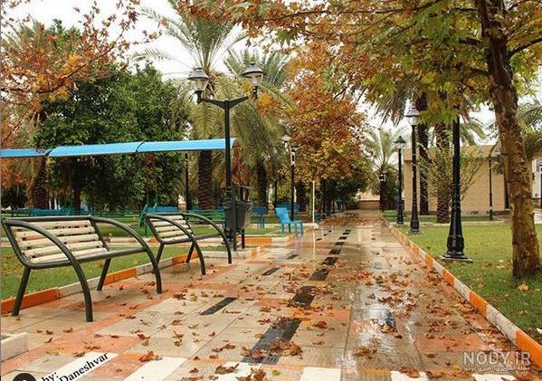 بهترین محله شهر جم بهترین محله شهر جم