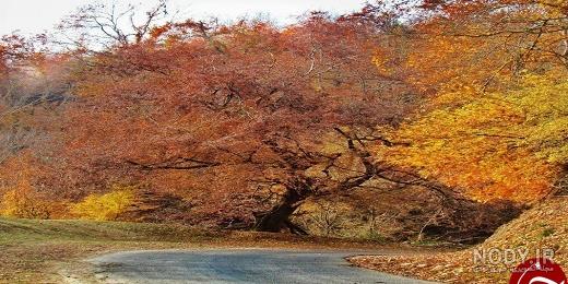 جاذبه های گردشگری آمل جاذبه های گردشگری آمل
