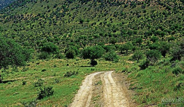 جاهای دیدنی طزرجان