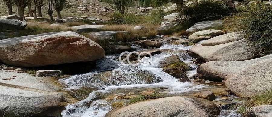 جمعیت ده بالا یزد
