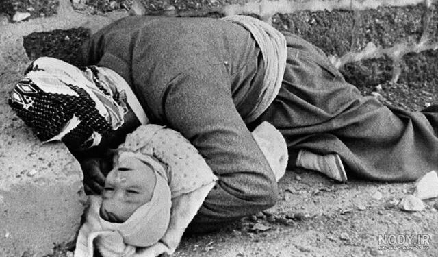 خلبان بمباران حلبچه