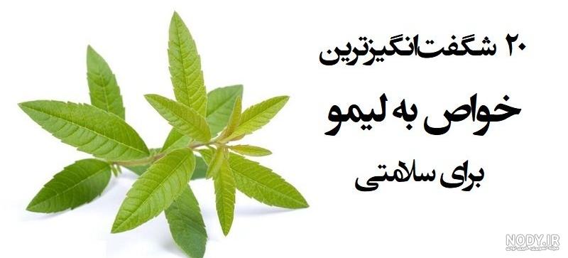 خواص دمنوش به لیمو