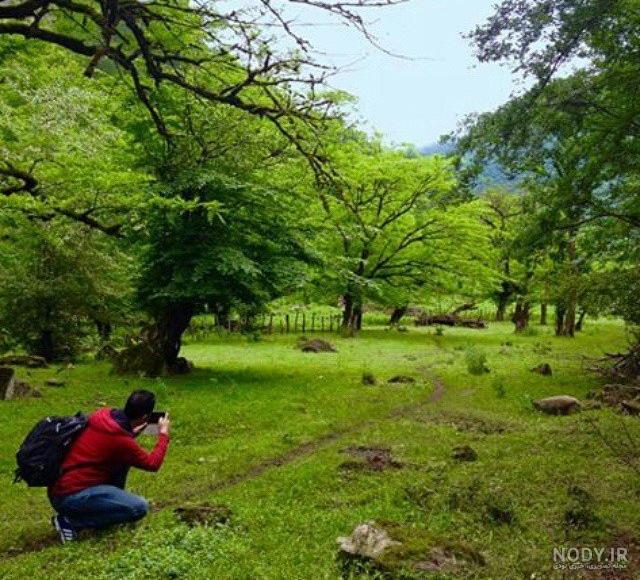 دریاچه آمل دریاچه آمل