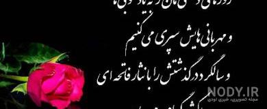 دلتنگی خواهر برای برادر