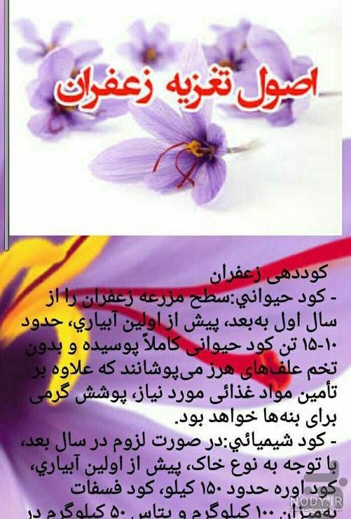 سایت زعفران نوین
