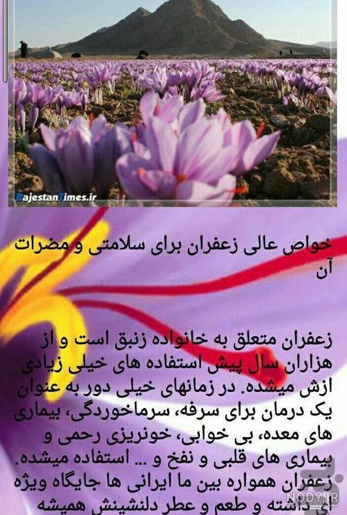علی شریعتی اتاق بازرگانی