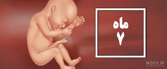 عکس جنین هفت ماهگی عکس جنین هفت ماهگی