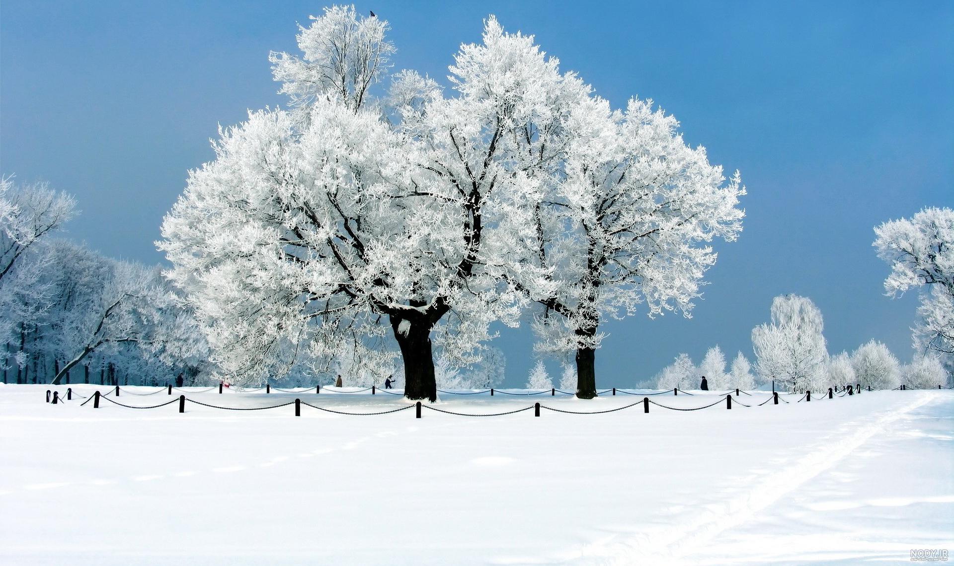 عکس زمستان با کیفیت بالا