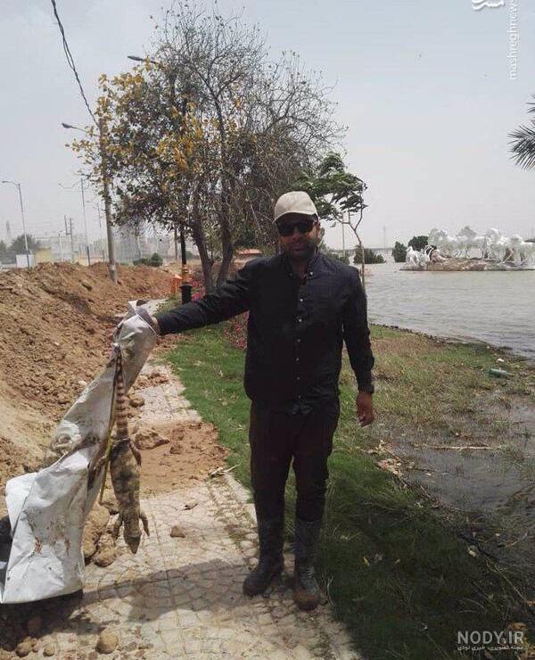 عکس سوسمار وحشی عکس سوسمار وحشی