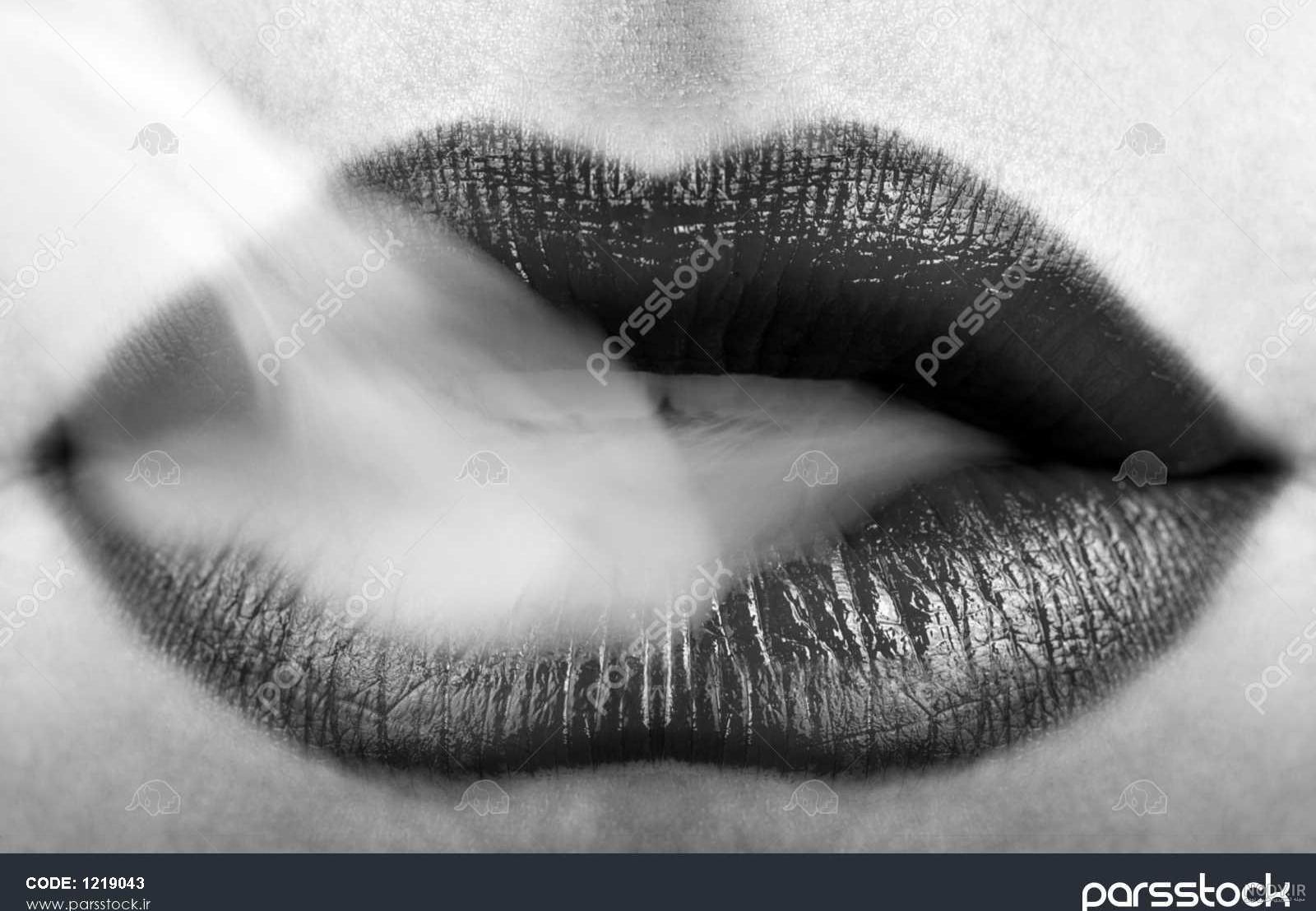 عکس سیاه سفید شاخ اینستا عکس سیاه سفید شاخ اینستا