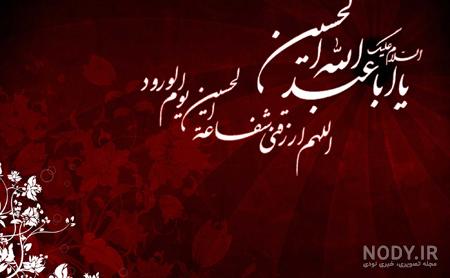 عکس شب یازدهم محرم