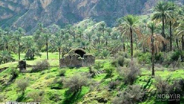 عکس شهر جمجمه عکس شهر جمجمه