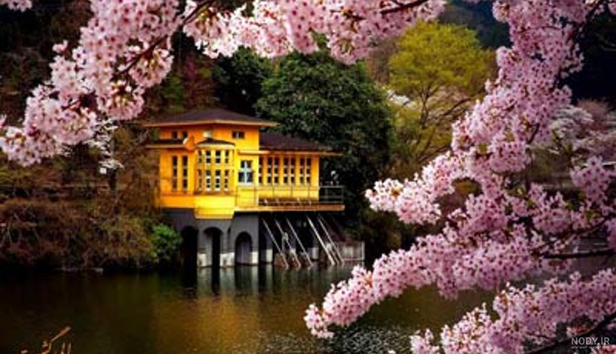 عکس طبیعت بهاری زیبا
