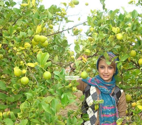 عکس طبیعت بهاری شمال