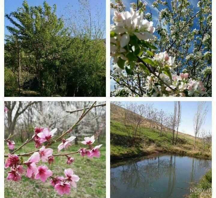 عکس طبیعت واقعی