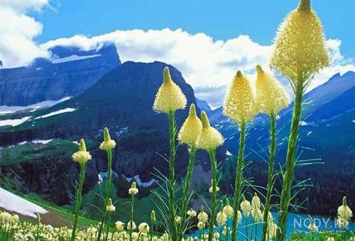 عکس طبیعت واقعی تابستان عکس طبیعت واقعی تابستان