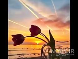 عکس غروب غم انگیز دریا عکس غروب غم انگیز دریا