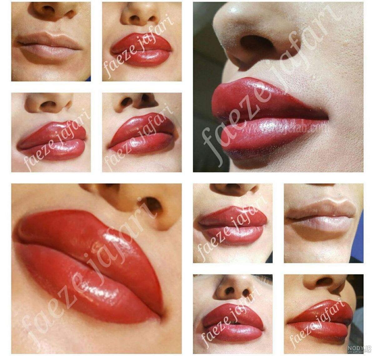 عکس پرنده برای نقاشی عکس پرنده برای نقاشی
