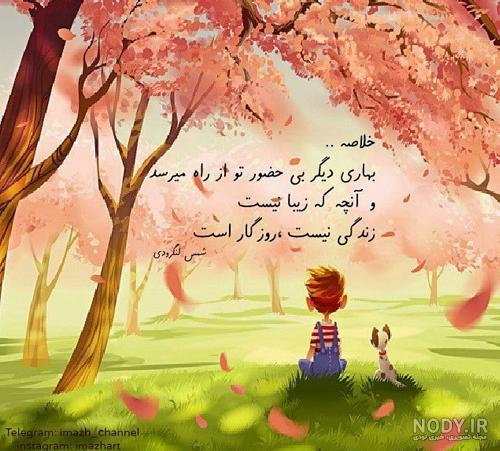عکس پروفایل واتساپ بهاری عکس پروفایل واتساپ بهاری