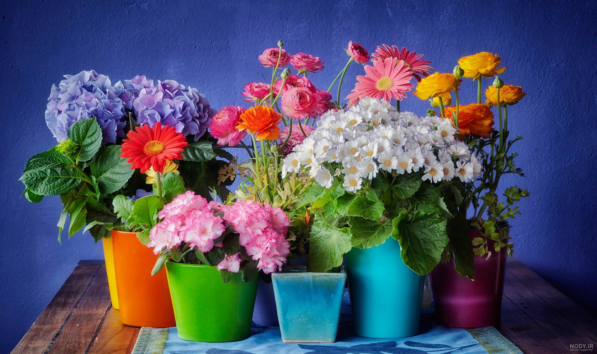 عکس گل گلدان برای نقاشی