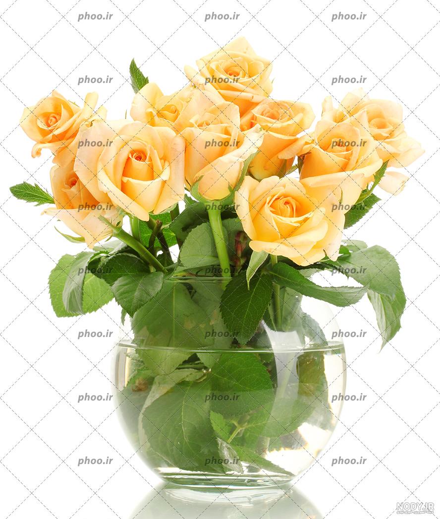 عکس گلدان زیبا برای پروفایل