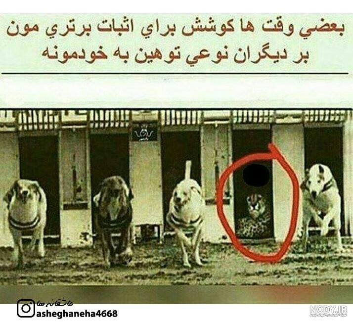 غمگین ترین کلیپ ها