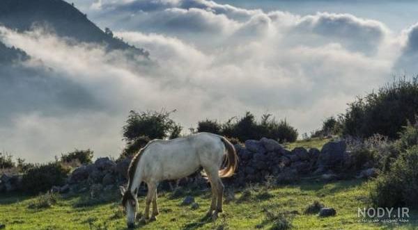فاصله فیلبند تا دریا فاصله فیلبند تا دریا