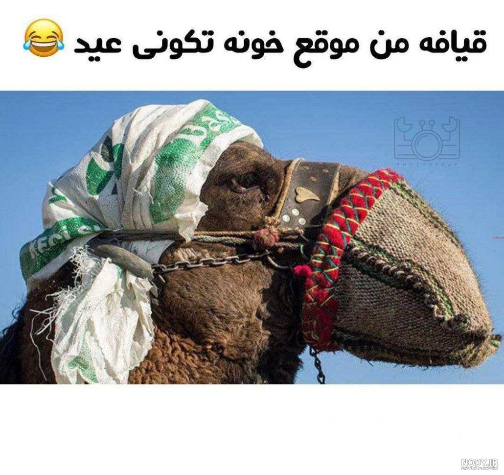 فیلم خنده دار برای وضعیت