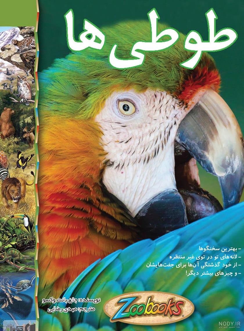 محل زندگی طوطی در ایران محل زندگی طوطی در ایران