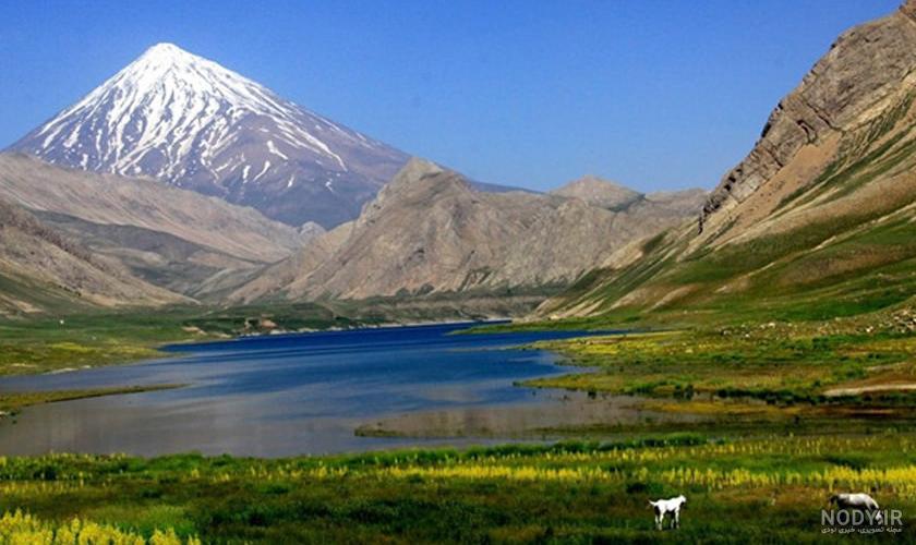پارک جنگلی آمل پارک جنگلی آمل