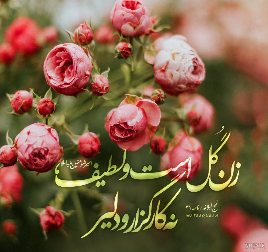 پروفایل گل با متن