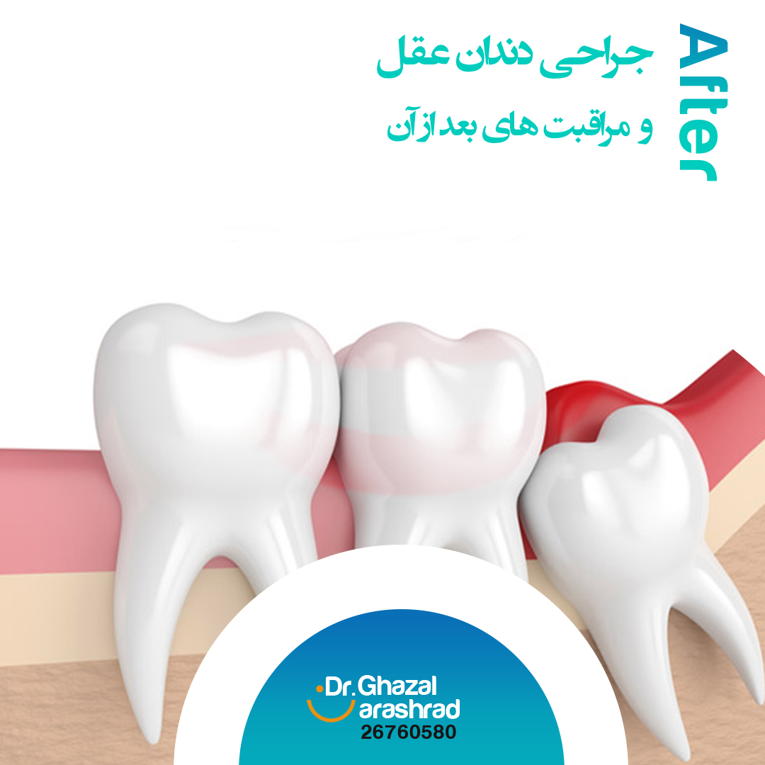 پیش ارباب خرد مایه ایمان ادب است پیش ارباب خرد مایه ایمان ادب است