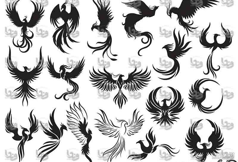 ایده تتو ققنوس