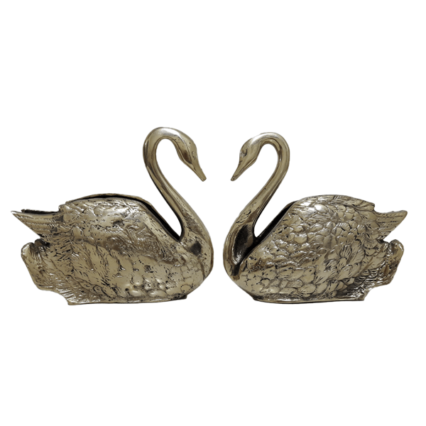 عکس قو غمگین