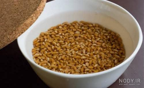 انواع سبزه عید فانتزی انواع سبزه عید فانتزی